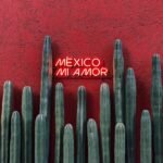 Cactos