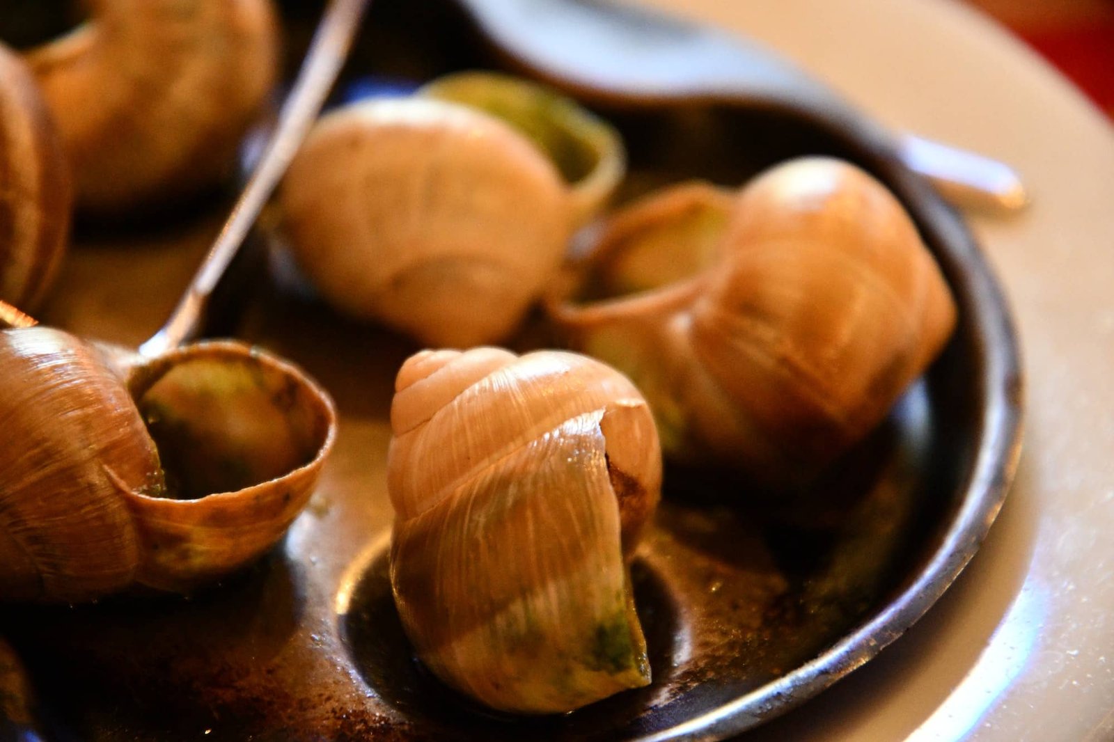 Escargot O prato exótico que vale a pena experimentar O Mundo é Seu