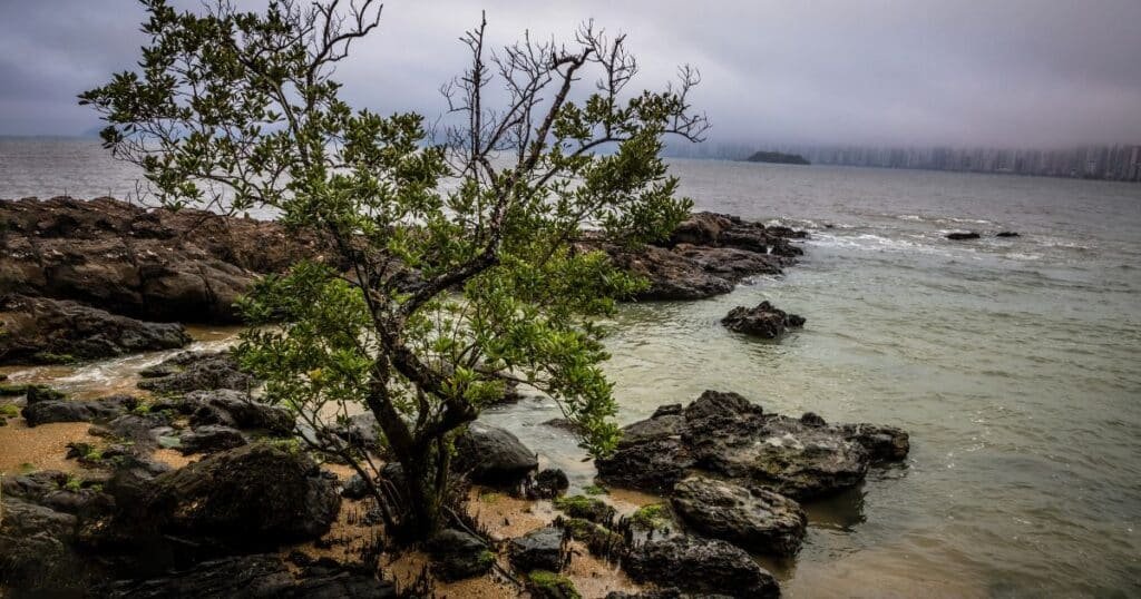 Prainha - Balneário Camboriú